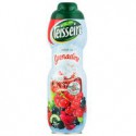Teisseire Grenadine Bidon 75Cl