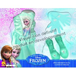 Panoplie Elsa Class + Acc T.L