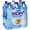 Vichy Celestins Btl 6X1L25