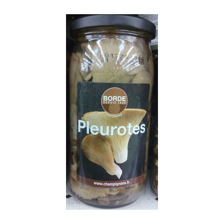 Borde Pleurottes Bocal 185G