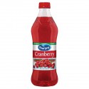 Pet 1.25L Spray Cranberry Clas