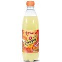 Schweppes Soda Aux Saveurs De 4 Agrumes : La Bouteille De 50Cl