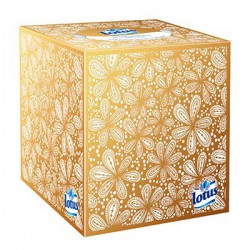 Bte Cubique 48 Mouchoirs Blancs Lotus