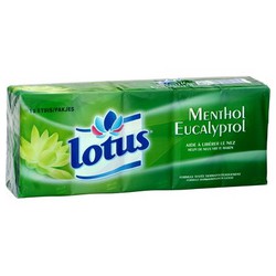 Lotus Mouchoirs Menthol Eucalyptus : Les 15 Étuis De 9 Mouchoirs