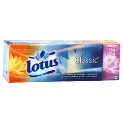 Lotus Mouchoirs Classic : Le Paquet De 24 Étuis