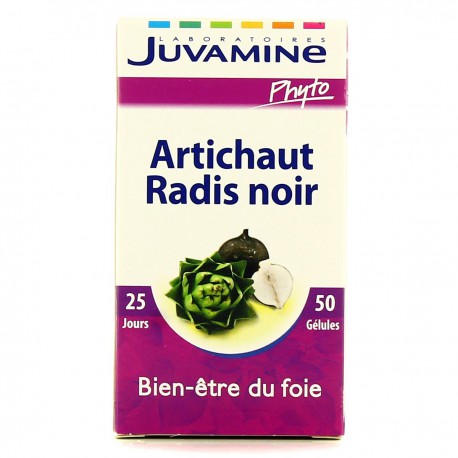 Jphyto Artichaut Radis Noir
