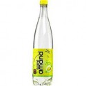 Litre Saint Amand Gazeuse Verveine Citron