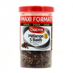 Ducros Melange 5 Baies Bte 70G