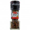 Ducros Moulin Regl.5 Baies 24G