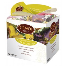 Boite Cadeau Pate Amande 250G