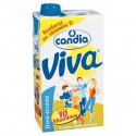 Brick 1L 1/2 Ecreme Viva