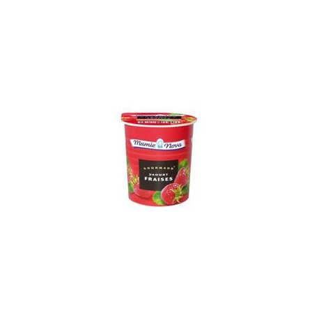 Yaourt Gourmand® - Framboise - Mamie Nova - 300 g, 2 pots de 150 g