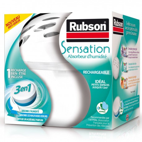 Rubson.Abs.Hum.Sensation