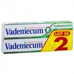 L2X75 Dent Fluor&Pl.Vadem