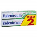 L2X75 Dent Fluor&Pl.Vadem