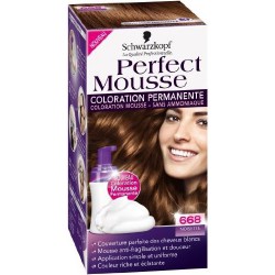 Coloration Noisette 668 Perfect Mousse