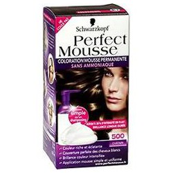 Coloration Chatain 500 Perfect Mousse