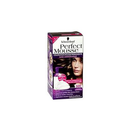 Coloration Chatain 500 Perfect Mousse