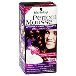 Coloration 586 Acajou Perfect Mousse