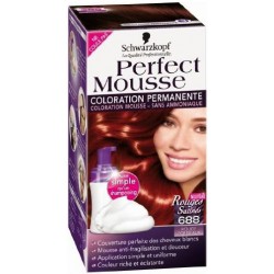 Coloration 100 Noir Nectra Color Perfect Mousse