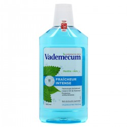 500Ml Bain De Bouche Fraicheur Intense Vademecum