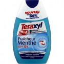 Teraxyl Dentifrice Liquide Fraicheur Menthe Flacon 75Ml