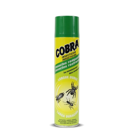 Insecticide Pour Insectes Rampants - 400 Ml - Longue Durée