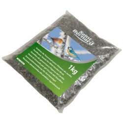 Graines Tournesol Saint 1Kg