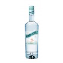 1L Menthe Pastille Giffar 24°