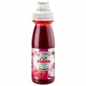 170G Coulis Framboise Rians