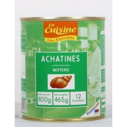 4/4 12 Douzaines Achatines