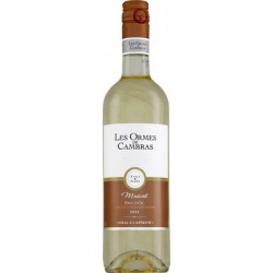 75 Igp Oc Muscat Blc Mlx Odc14