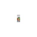 Bel Argent Shampoing Reflet Gris Nacre