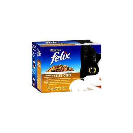 Felix Eminces Poulet Dinde Volaille Canard 12X100G