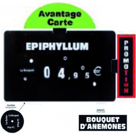 Kit Etiq Prix F&P+Accessoires