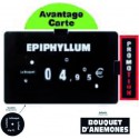 Kit Etiq Prix F&P+Accessoires
