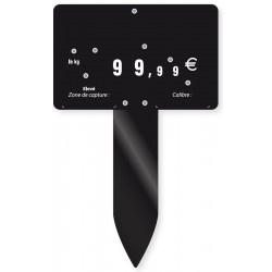 Kit 50 Etiq.Vierge Maree+Pied