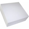 50 Bte Pat Blc Ss Imp.29X29X5