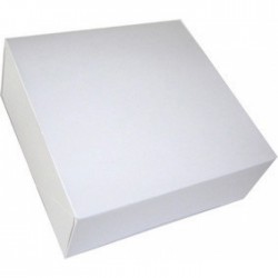 50 Bte Pat S/Impr.Blc 16X16X5