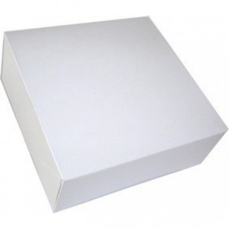 50 Bte Pat S/Impr.Blc 16X16X5