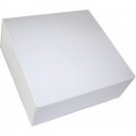 50 Bte Pat S/Impr.Blc 16X16X5
