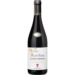 Vin Rouge Saint-Joseph Terre De Violette, La Bouteille De 75Cl
