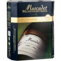 3Lbib Musc.Ac.Blanc Crf Nm