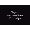 Pann Surv Video Mag3.E