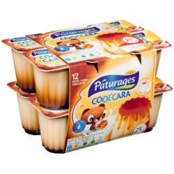 Coolcara Flan Nappe 12X100G