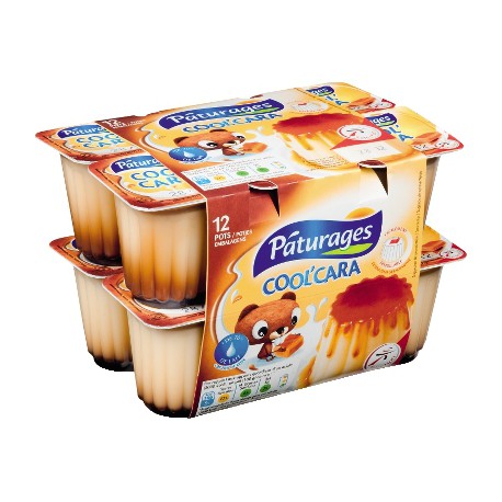 Coolcara Flan Nappe 12X100G