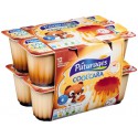 Coolcara Flan Nappe 12X100G