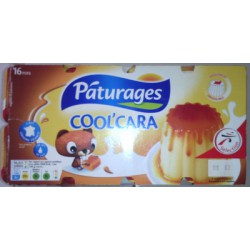Coolcara Flan Nappe 16X100G