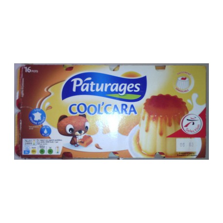 Coolcara Flan Nappe 16X100G