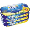 Od.Sardine H.Veget 3X1/10 207G